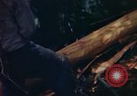 Image of observers and Indian workers Guatemala, 1946, second 45 stock footage video 65675068504