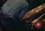 Image of observers and Indian workers Guatemala, 1946, second 48 stock footage video 65675068504