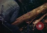 Image of observers and Indian workers Guatemala, 1946, second 49 stock footage video 65675068504