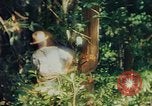 Image of observers and Indian workers Guatemala, 1946, second 51 stock footage video 65675068504
