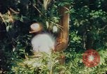 Image of observers and Indian workers Guatemala, 1946, second 52 stock footage video 65675068504