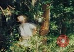 Image of observers and Indian workers Guatemala, 1946, second 54 stock footage video 65675068504