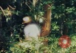 Image of observers and Indian workers Guatemala, 1946, second 55 stock footage video 65675068504