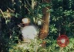 Image of observers and Indian workers Guatemala, 1946, second 58 stock footage video 65675068504