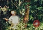 Image of observers and Indian workers Guatemala, 1946, second 59 stock footage video 65675068504