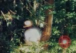 Image of observers and Indian workers Guatemala, 1946, second 61 stock footage video 65675068504