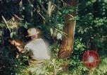 Image of observers and Indian workers Guatemala, 1946, second 62 stock footage video 65675068504