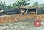 Image of Indian workers Guatemala, 1946, second 3 stock footage video 65675068505