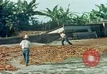 Image of Indian workers Guatemala, 1946, second 10 stock footage video 65675068505