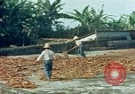 Image of Indian workers Guatemala, 1946, second 11 stock footage video 65675068505