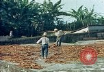 Image of Indian workers Guatemala, 1946, second 13 stock footage video 65675068505