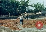 Image of Indian workers Guatemala, 1946, second 14 stock footage video 65675068505
