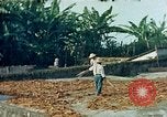 Image of Indian workers Guatemala, 1946, second 16 stock footage video 65675068505