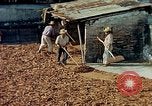 Image of Indian workers Guatemala, 1946, second 17 stock footage video 65675068505