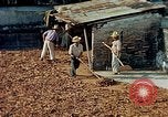 Image of Indian workers Guatemala, 1946, second 18 stock footage video 65675068505