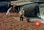 Image of Indian workers Guatemala, 1946, second 20 stock footage video 65675068505