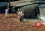 Image of Indian workers Guatemala, 1946, second 21 stock footage video 65675068505