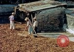 Image of Indian workers Guatemala, 1946, second 22 stock footage video 65675068505