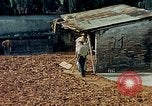 Image of Indian workers Guatemala, 1946, second 25 stock footage video 65675068505