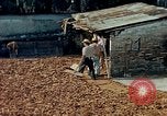 Image of Indian workers Guatemala, 1946, second 26 stock footage video 65675068505