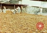 Image of Indian workers Guatemala, 1946, second 30 stock footage video 65675068505