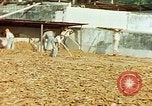 Image of Indian workers Guatemala, 1946, second 31 stock footage video 65675068505
