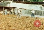 Image of Indian workers Guatemala, 1946, second 34 stock footage video 65675068505