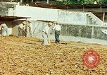 Image of Indian workers Guatemala, 1946, second 35 stock footage video 65675068505