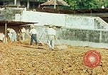 Image of Indian workers Guatemala, 1946, second 38 stock footage video 65675068505