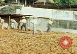 Image of Indian workers Guatemala, 1946, second 39 stock footage video 65675068505