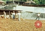Image of Indian workers Guatemala, 1946, second 40 stock footage video 65675068505