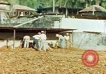 Image of Indian workers Guatemala, 1946, second 43 stock footage video 65675068505