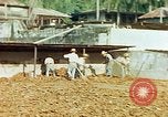 Image of Indian workers Guatemala, 1946, second 44 stock footage video 65675068505