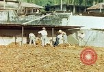 Image of Indian workers Guatemala, 1946, second 45 stock footage video 65675068505