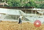 Image of Indian workers Guatemala, 1946, second 56 stock footage video 65675068505