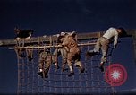 Standbild Ranger Combat Training Hawaii USA, 1942, aus Sekunde 10 historischem Filmmaterial Videoclip 65675068509