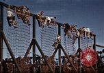 Standbild Ranger Combat Training Hawaii USA, 1942, aus Sekunde 16 historischem Filmmaterial Videoclip 65675068509