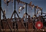 Standbild Ranger Combat Training Hawaii USA, 1942, aus Sekunde 21 historischem Filmmaterial Videoclip 65675068509