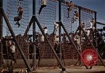 Standbild Ranger Combat Training Hawaii USA, 1942, aus Sekunde 25 historischem Filmmaterial Videoclip 65675068509