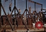 Standbild Ranger Combat Training Hawaii USA, 1942, aus Sekunde 31 historischem Filmmaterial Videoclip 65675068509