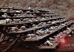 Image of Ranger combat training Hawaii USA, 1942, second 18 stock footage video 65675068510