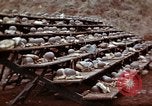 Image of Ranger combat training Hawaii USA, 1942, second 19 stock footage video 65675068510