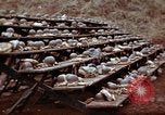 Image of Ranger combat training Hawaii USA, 1942, second 21 stock footage video 65675068510
