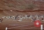 Image of Ranger combat training Hawaii USA, 1942, second 24 stock footage video 65675068510