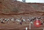 Image of Ranger combat training Hawaii USA, 1942, second 27 stock footage video 65675068510