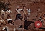Image of Ranger combat training Hawaii USA, 1942, second 39 stock footage video 65675068510