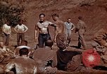 Image of Ranger combat training Hawaii USA, 1942, second 40 stock footage video 65675068510