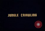 Image of Ranger combat training Hawaii USA, 1942, second 5 stock footage video 65675068511