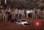 Image of Ranger combat training Hawaii USA, 1942, second 6 stock footage video 65675068511