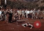Image of Ranger combat training Hawaii USA, 1942, second 7 stock footage video 65675068511